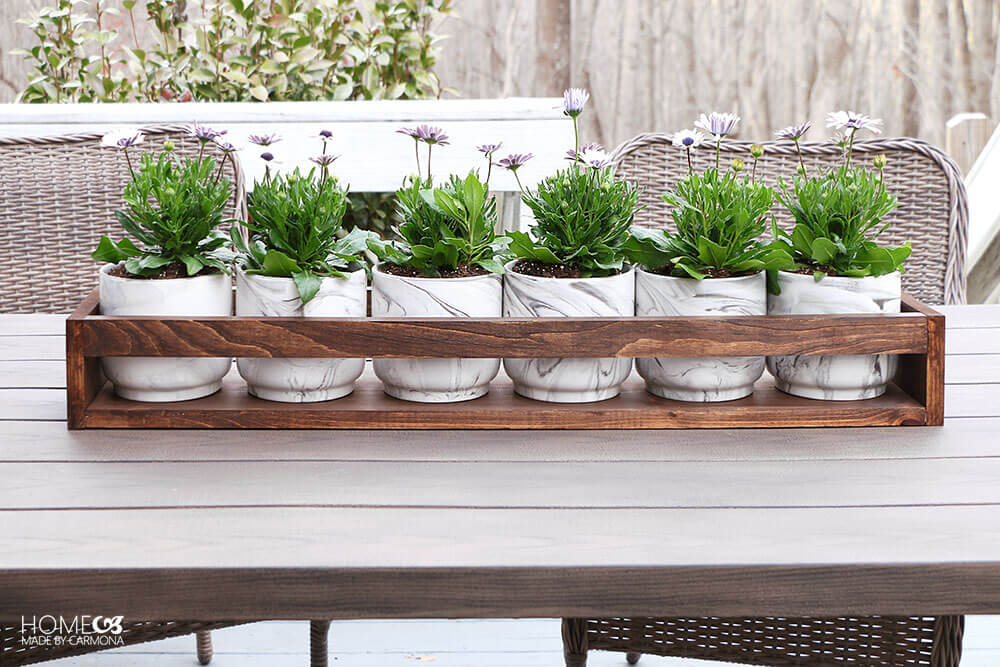 potted plants lined up in a wooden holder