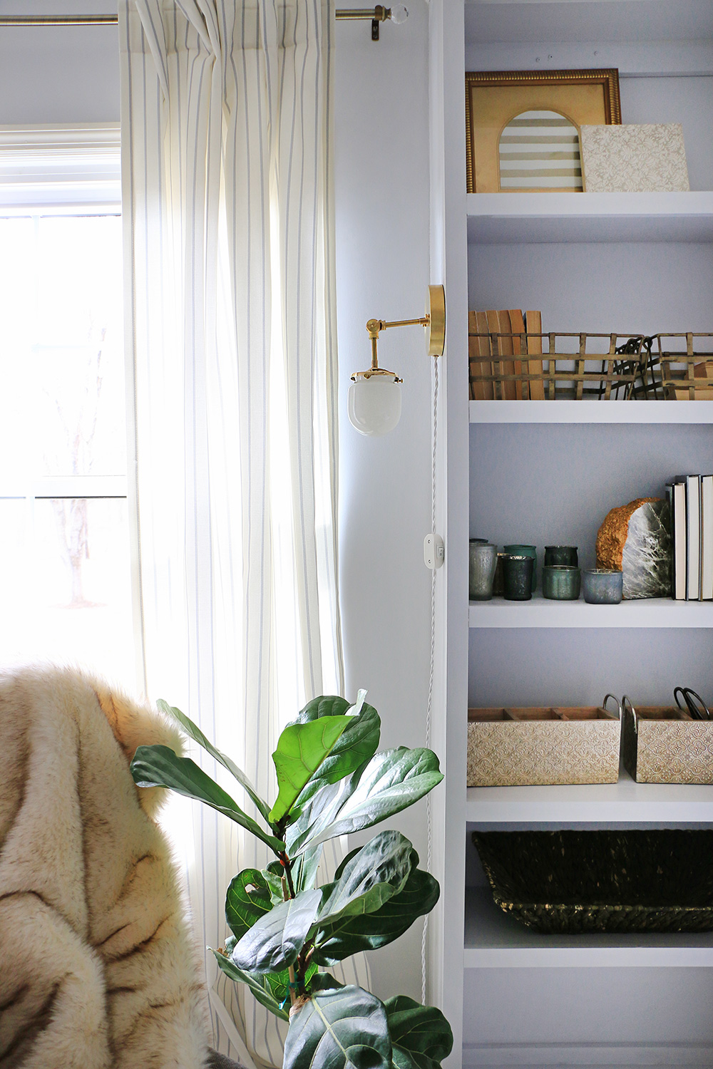 Bookcase-with-gold-sconce