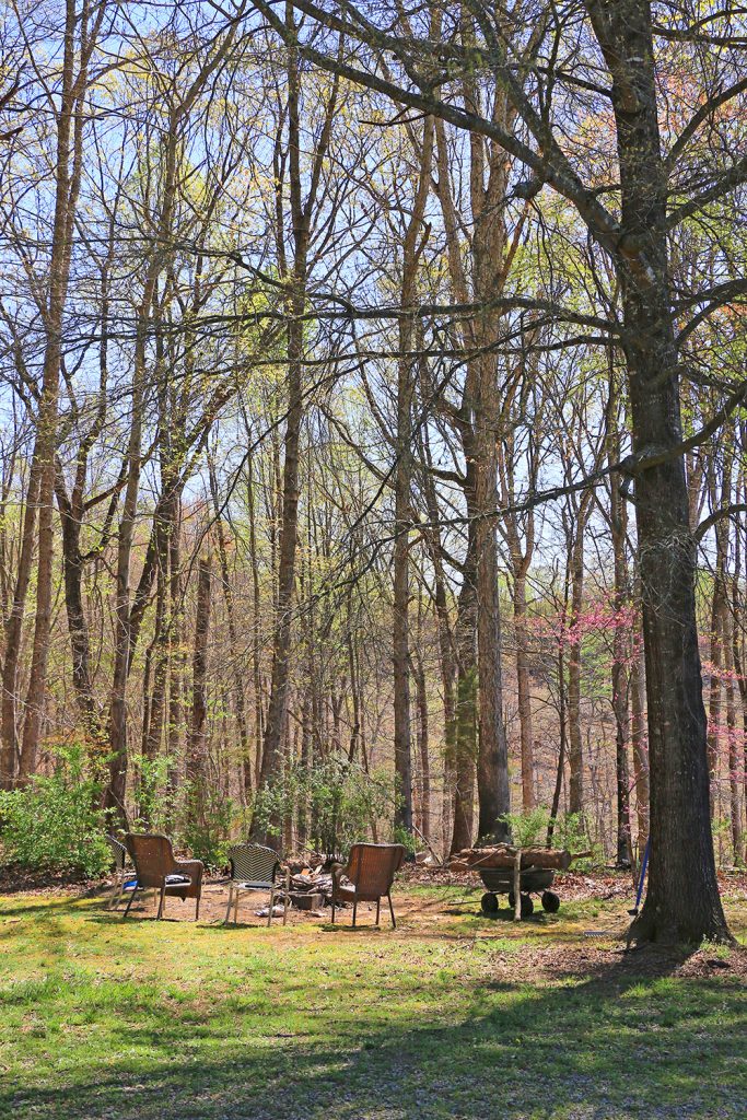 woods and campfire