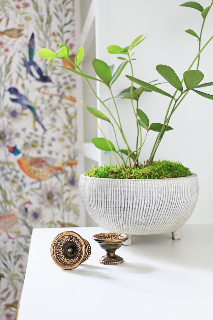 drawer knobs