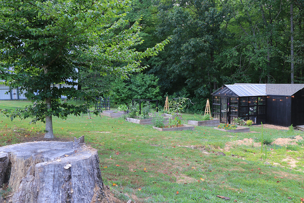 Garden with a greenhouse shed and raised beds