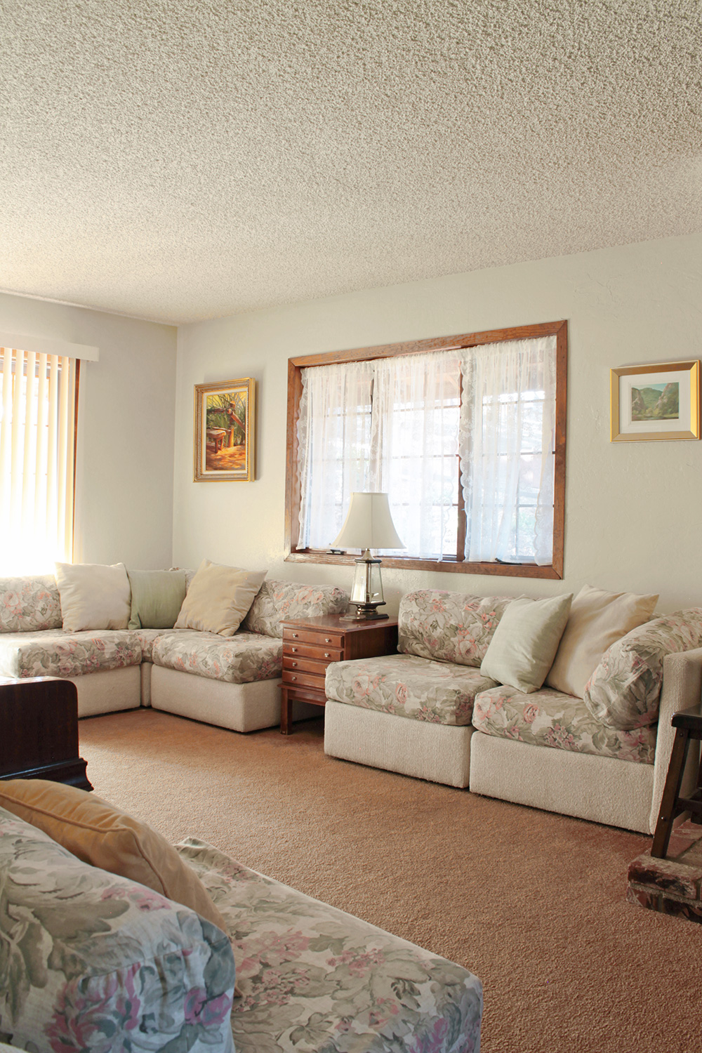 mountain home living room