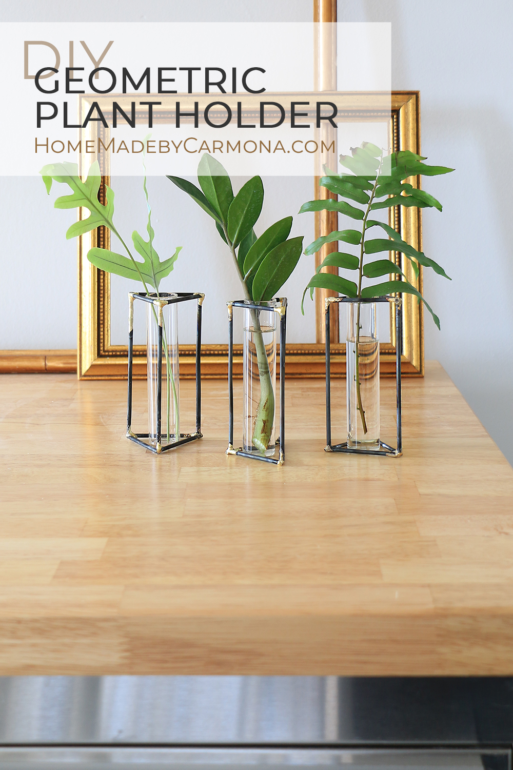 Geometric plant holders from steel