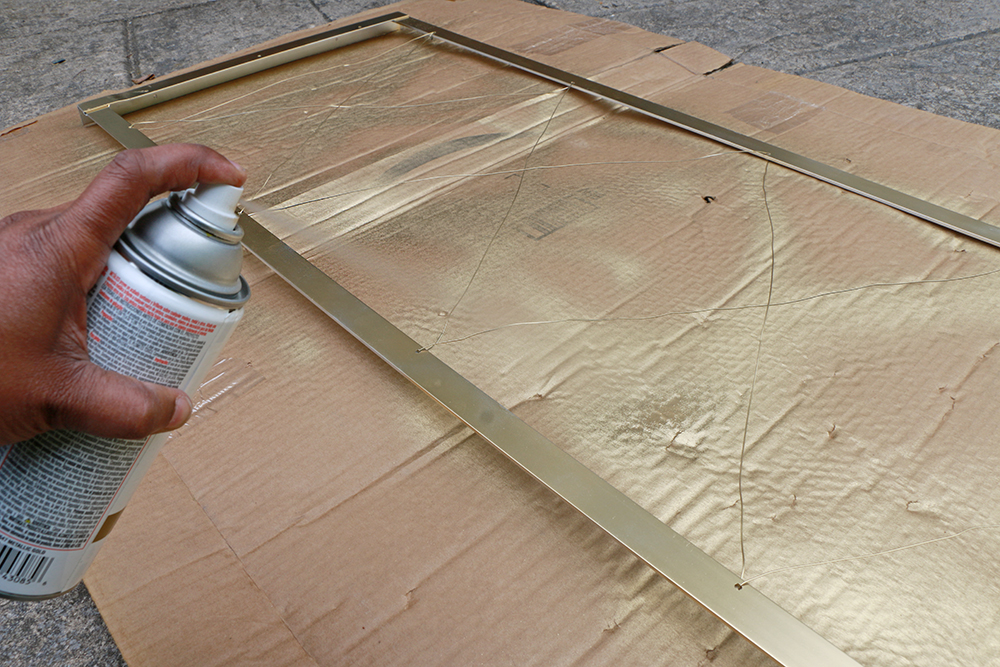 spray paint wall trellis