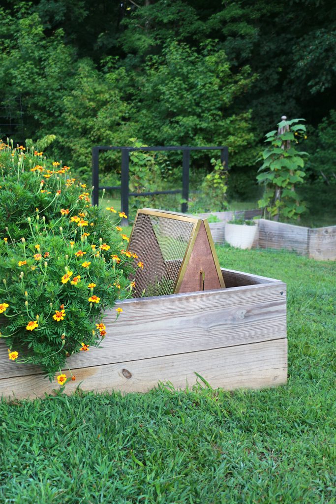 Garden plant cover