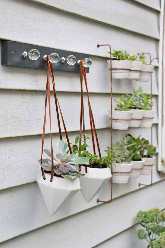 hanging plants