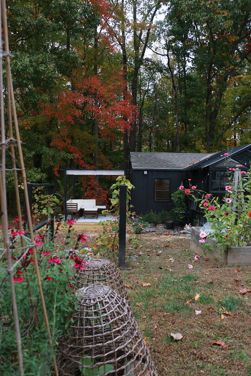 Garden and deck
