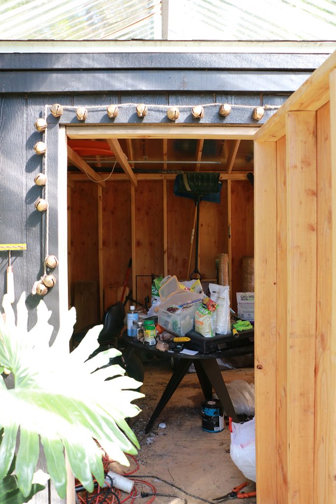 shed through door before picture