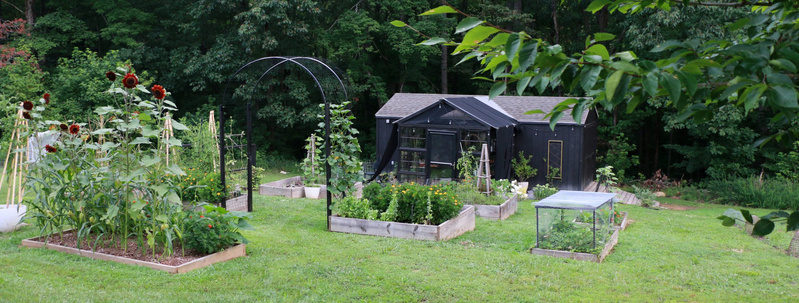 gardening
