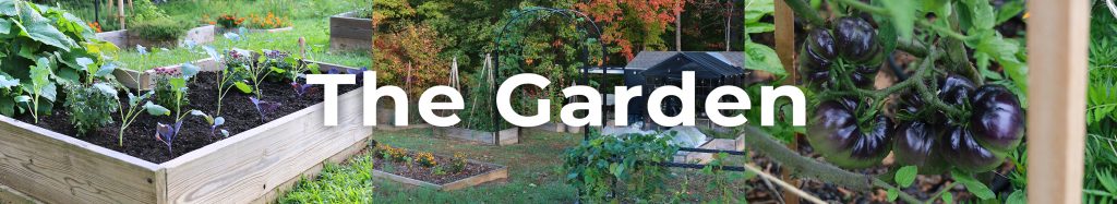 the garden